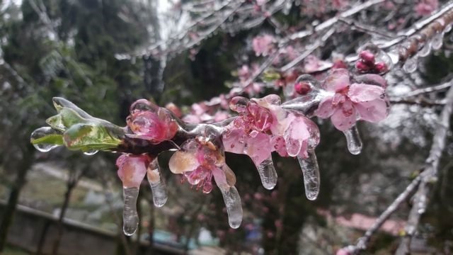 Nem akármilyen fagy jön Magyarországra: erre jobb lesz felkészülni