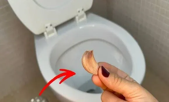Dobj fokhagymát a wc-be és nem hiszel majd a szemednek