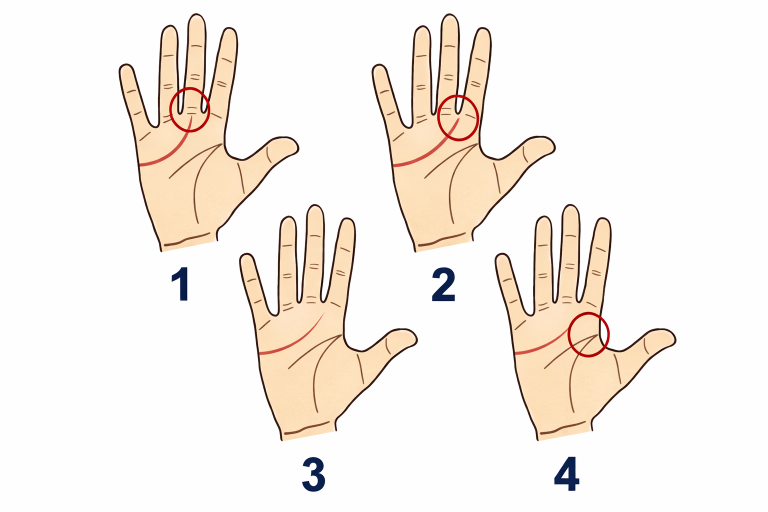 Neked milyen a szívvonalad? Nézz a tenyeredbe és megmondjuk milyen vagy!