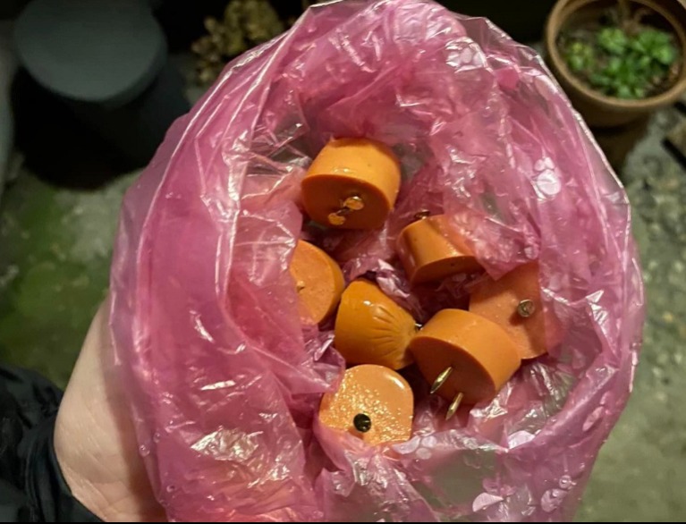 Kislányom beleharapott a virslibe, majd fuldokolni kezdett!